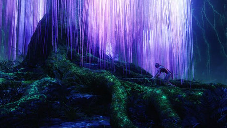 The Web of Light