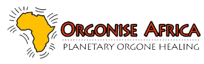 Orgonise Africa